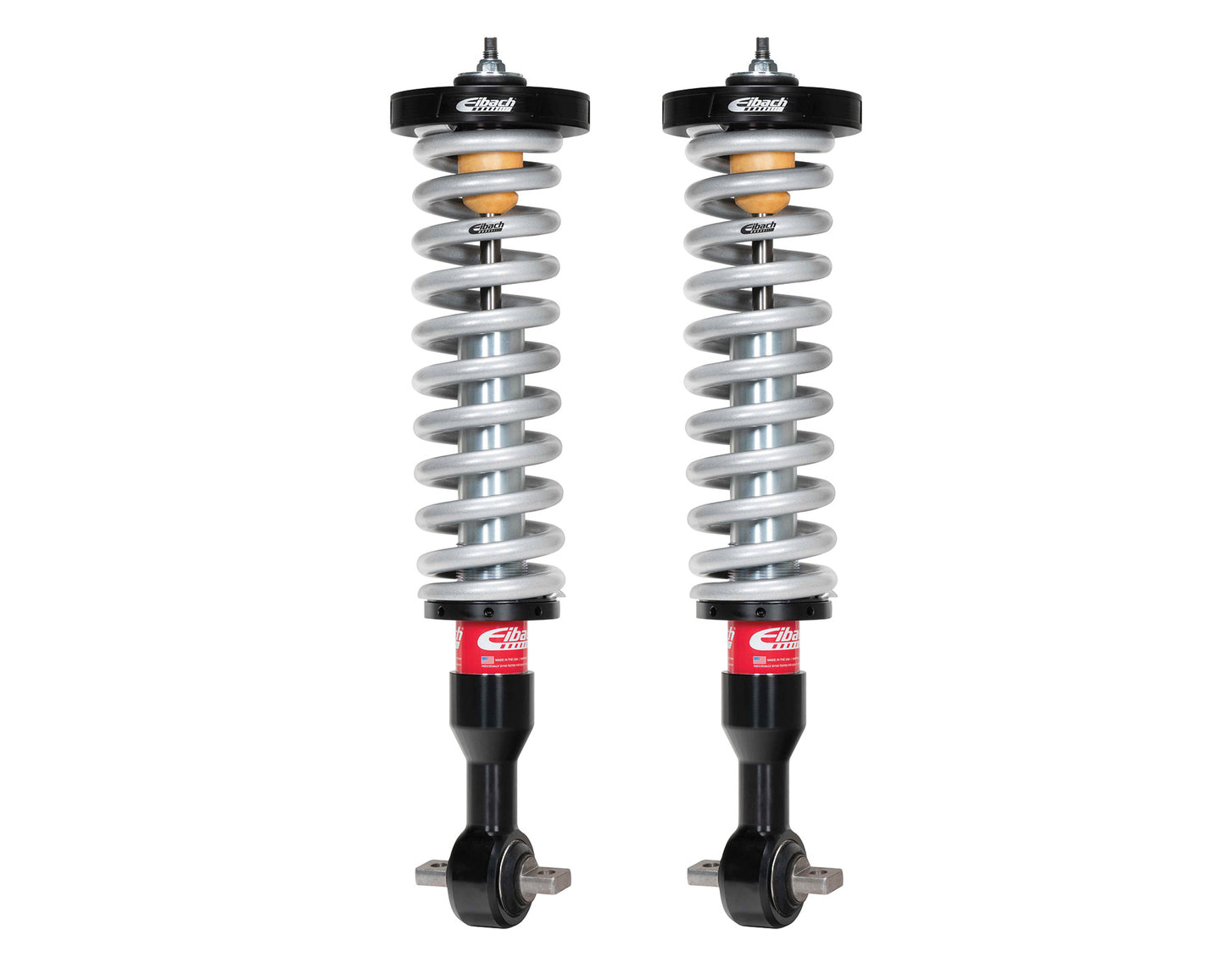 Eibach PRO-TRUCK Coilover E86-35-035-01-20